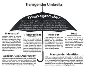 trans a domicile|Frequently Asked Questions about Transgender People